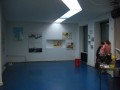 Ausstellungsansicht Sternhagelschön