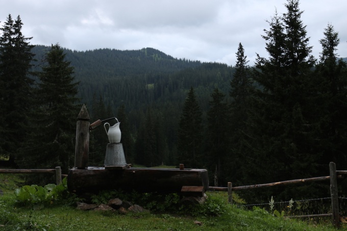 Residency, Nationalpark Gesäuse - Nicole Krenn